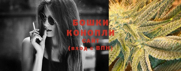 спайс Сосновый Бор