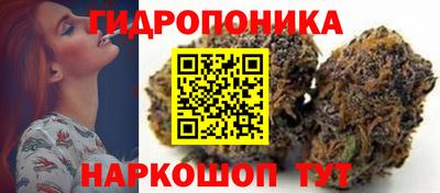 ешки Волгодонск