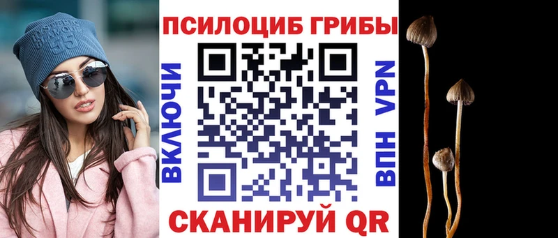 Псилоцибиновые грибы Psilocybine cubensis  купить наркотики цена  mega сайт  Екатеринбург 