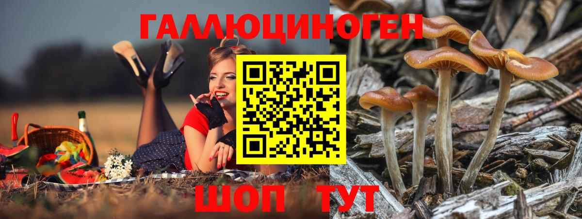 Екатеринбург  даркнет сайт  Вход с VPN  Галлюциногенные грибы MAGIC MUSHROOMS 