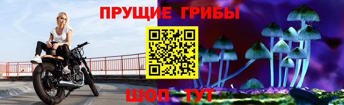 Псилоцибиновые грибы мицелий  Екатеринбург 